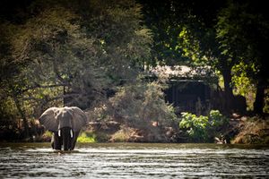 Image post by @chiawasafaris on Instagram