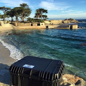 Image post by @seahorsecases on Instagram