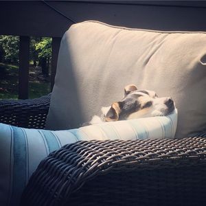 Image post by @lifesadiscoball on Instagram