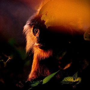 Image post by @natgeo on Instagram