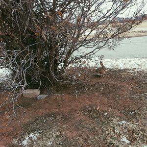 Image post by @natereimers on Instagram