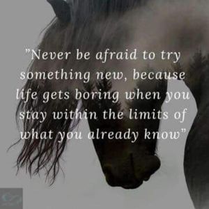 Image post by @equineidsolutions on Instagram