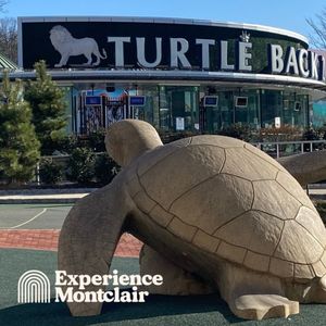 Image post by @experiencemontclair on Instagram