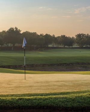 Image post by @alexknappegolf on Instagram