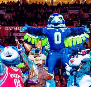Image post by @blitztheseahawk on Instagram