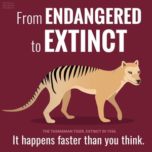 Image post by @centerforbiodiv on Instagram