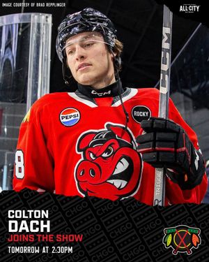 Image post by @CHGO_Blackhawks on Twitter/X