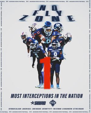 Image post by @gojsutigersfb on Instagram