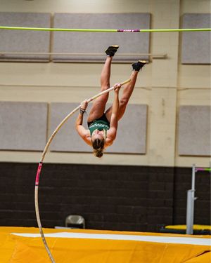 Image post by @csuathletics on Instagram