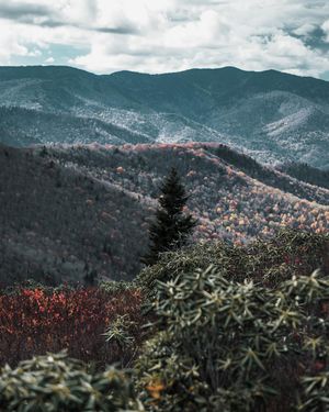 Image post by @aaronjohnsonmedia on Instagram