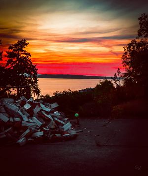 Image post by @amy.kennedy.photos on Instagram