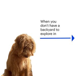 Image post by @opendoor on Instagram