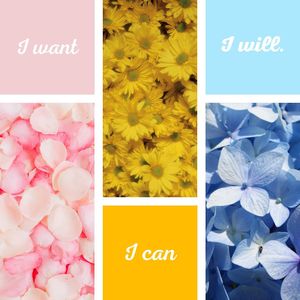 Image post by @tellerialevy_ on Instagram