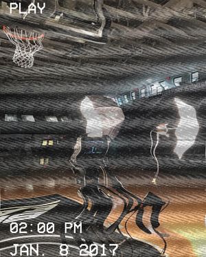 Image post by @providencewbb on Instagram