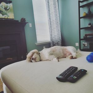 Image post by @yardycardy on Instagram
