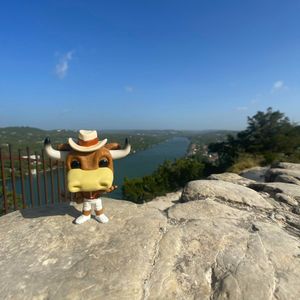 Image post by @utaustintx on Instagram