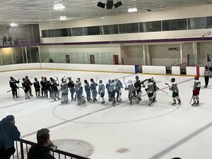 Image post by @usphlhockey on Instagram