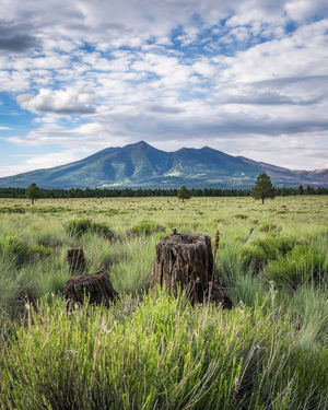 Image post by @nauflagstaff on Instagram