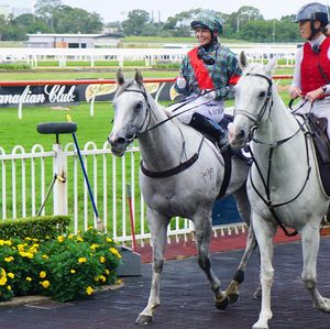 Image post by @australianturfclub on Instagram