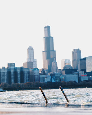 Image post by @willtrogdon on Instagram