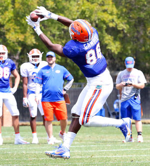 Image post by @gatorsports on Instagram