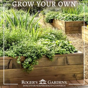 Image post by @rogersgardens on Instagram