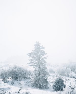Image post by @drewpeden on Instagram