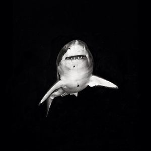 Image post by @discovery on Instagram