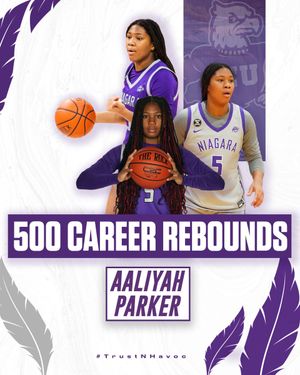 Image post by @NiagaraWBB on Twitter/X