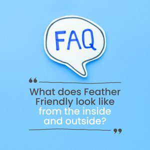 Image post by @featherfriendly on Instagram
