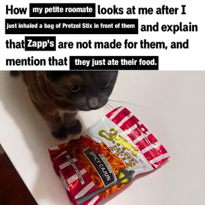Image post by @realzappschips on Instagram