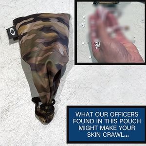 Image post by @tsa on Instagram