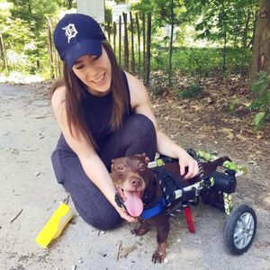 Image post by @walkinpets on Instagram