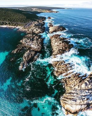 Image post by @dronepals on Instagram
