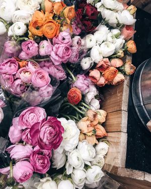 Image post by @katrinakagan on Instagram