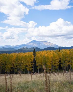 Image post by @nauflagstaff on Instagram