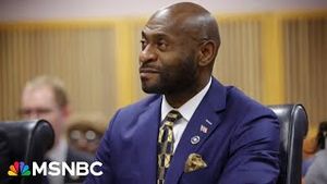 Video post by @msnbc on YouTube