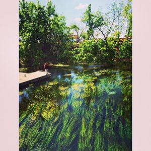 Image post by @lbjsc on Instagram