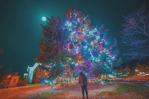Image post by @nauflagstaff on Instagram