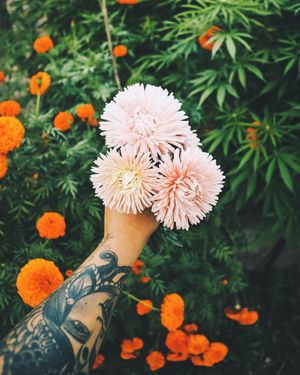 Image post by @lauraroze on Instagram