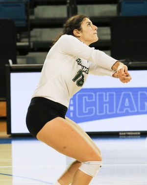 Image post by @binghamtonvb on Instagram