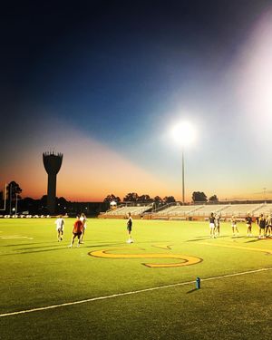 Image post by @gocamelslax on Instagram