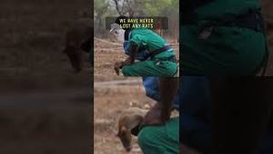 Video post by @60secdocs on YouTube