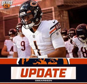 Image post by @bearsszn on Instagram