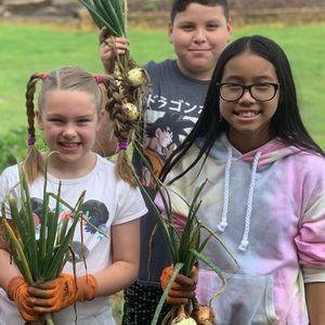 Image post by @kidsgardening on Instagram