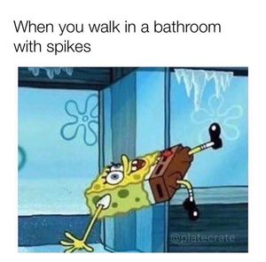 Image post by @platecrate on Instagram