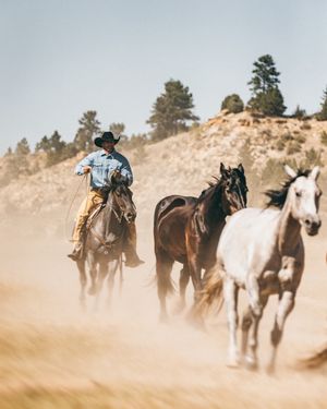 Image post by @schaeferoutfitter on Instagram