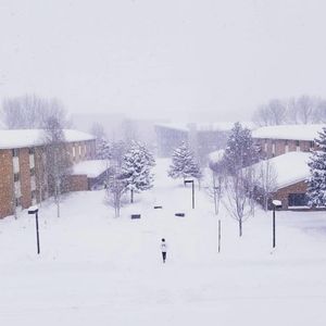 Image post by @nauflagstaff on Instagram