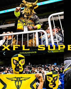Image post by @xflbrahmas on Instagram