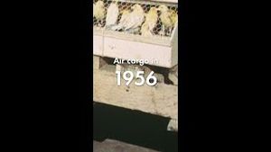 Video post by @shell on YouTube